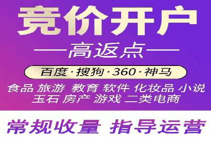 某电商平台SEM竞价广告的转化率提升案例